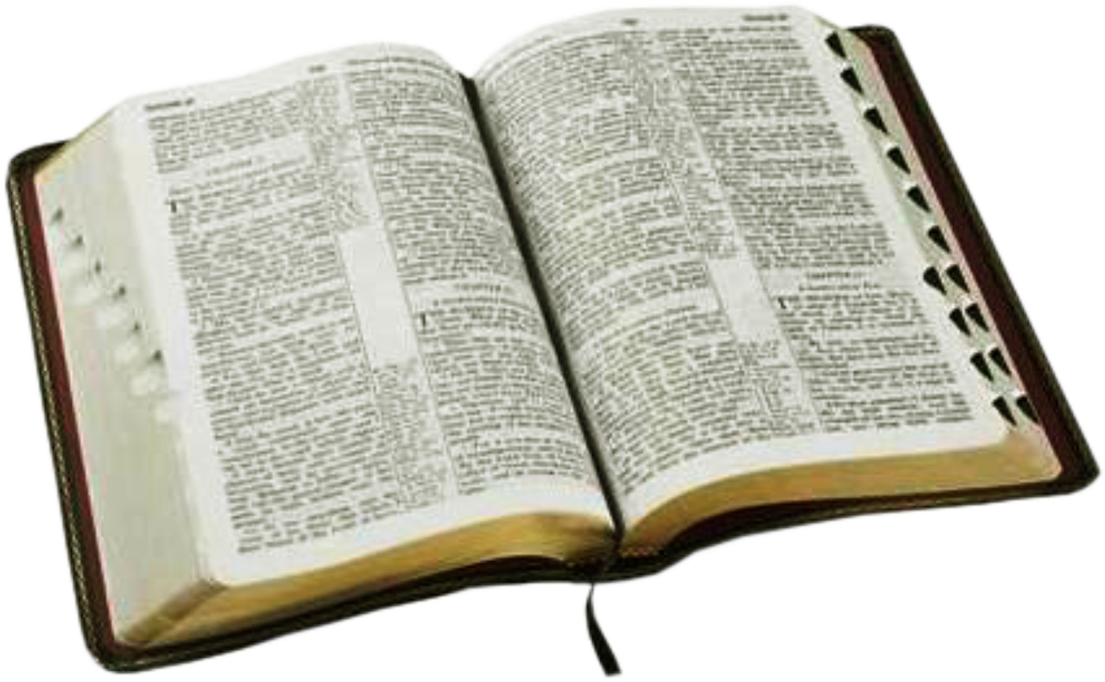 Bible